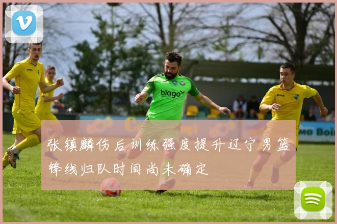 张镇麟伤后训练强度提升辽宁男篮锋线归队时间尚未确定