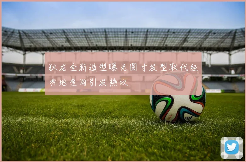 狄龙全新造型曝光圆寸发型取代经典地垄沟引发热议