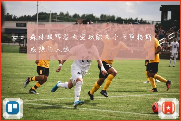 森林狼阵容大变动欧文小卡萨格斯成热门人选